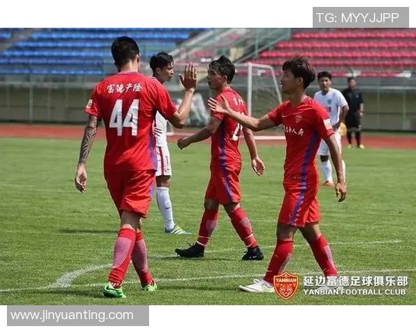 延边与权健精彩对决回放分析及比赛亮点总结