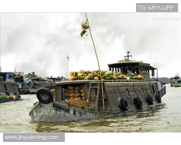 探索芹苴与胡志明市的文化差异与经济发展潜力之比较分析
