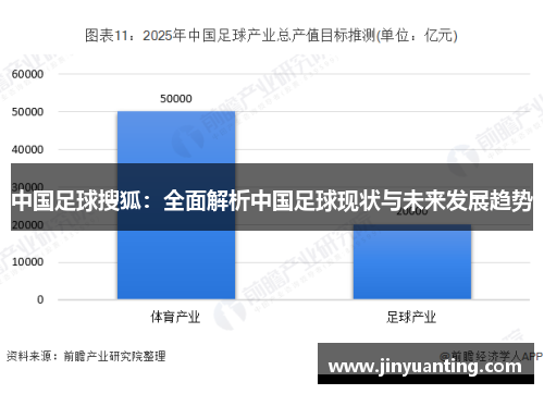 中国足球搜狐：全面解析中国足球现状与未来发展趋势