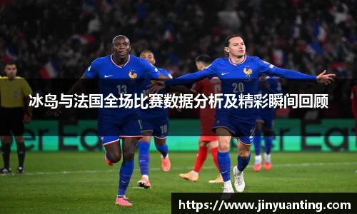 冰岛与法国全场比赛数据分析及精彩瞬间回顾